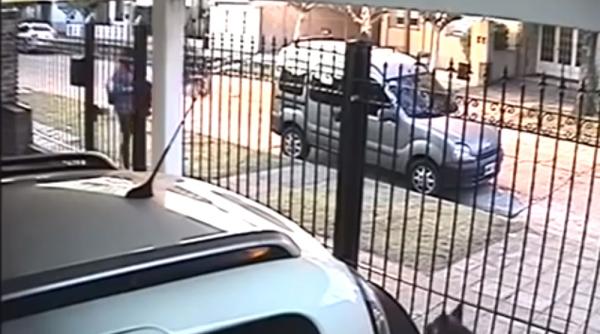 cum a reactionat o femeie care urma sa fie jefuita video