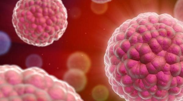 vaccinul anti cancer o sansa uluitoare pentru sanatatea planetei