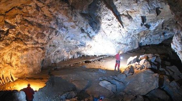 5 specii de lilieci din cea mai adanca pestera de calcar din romania protejate din fonduri europene