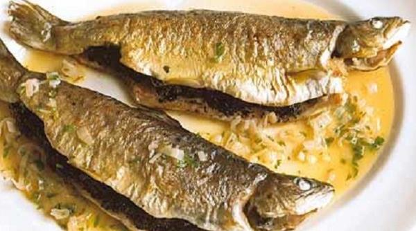 reteta zilei de vineri pastravii doamnei mele reteta ecaterinei bacalbasa