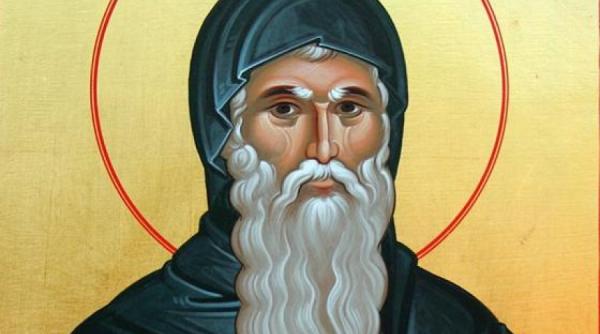 sinaxar sfantul cuvios david cel ce a pustnicit pe ramura unui migdal si avea darul de a izgoni pe diavoli