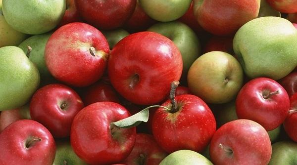 reteta zilei de duminica chec cu mere reteta pentru mosii de san petru