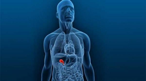 dieta indicata in bolile vezicii biliare 7 alimente interzise 5 alimente permise si programul strict de masa