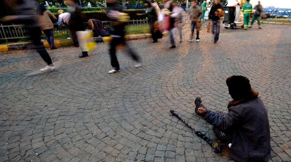 distributia saraciei