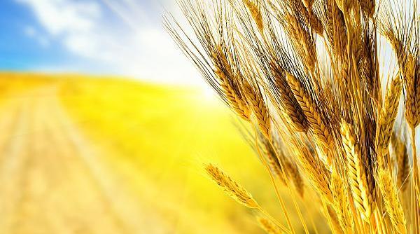 iulie o luna plina de traditii afla care sunt acestea