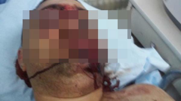 razboi total intre interlopii din timisoara