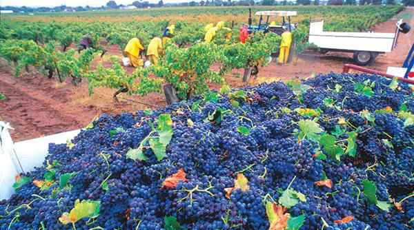 clusterele castiga teren si in romania miza asocierilor este cresterea profiturilor