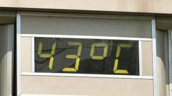 cod portocaliu de canicula