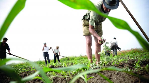 cat de saraci sunt cei mai avuti dintre romani