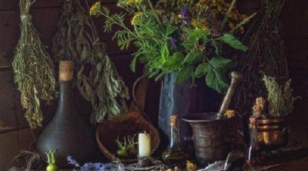 leacurile batranesti sau farmacia traditionala a taranului roman alege sanatatea din natura