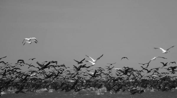 descopera frumusetile romaniei insula fericirii