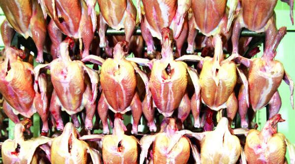 bombe cu antibiotice oferite en gros in carnea de pe piata