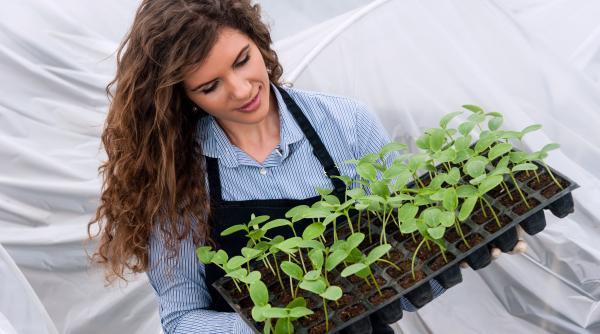 facultatea care iti baga banii europeni in buzunar
