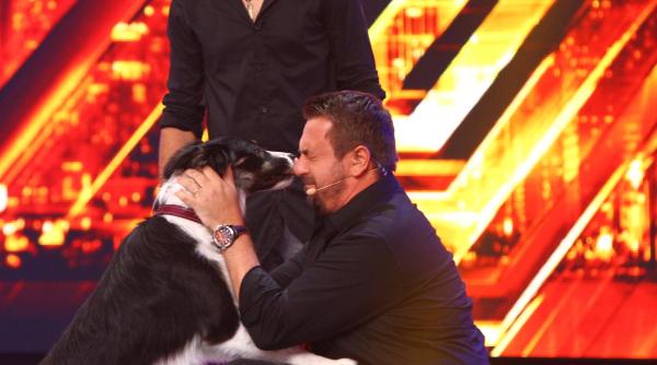 horia brenciu dr dolittle la x factor