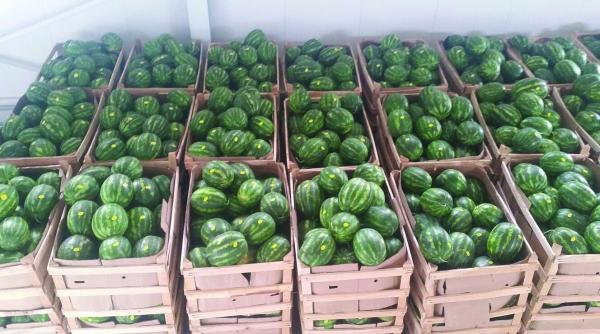 romania se umfla in pepeni