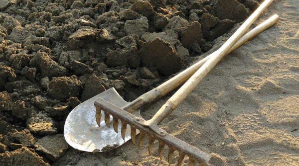 ajutorul social preferat muncii la camp