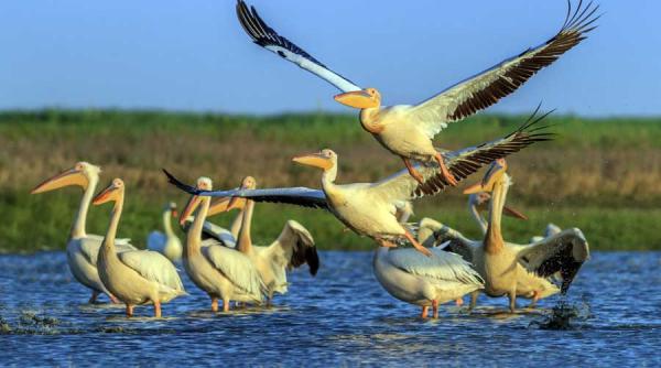 top 10 cele mai frumoase locuri din romania