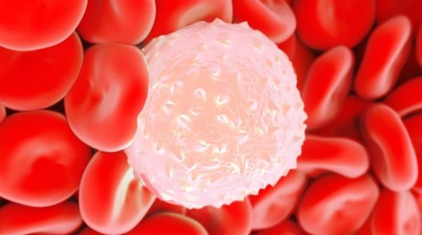 descoperire extraordinara oamenii de stiinta au reusit sa o filmeze pentru prima oara