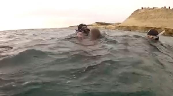 au crezut ca sunt atacati dar cand s au apropiat totul s a schimbat video