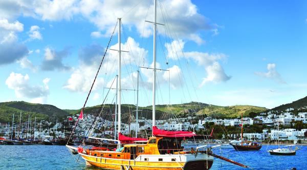 toate panzele sus invata tainele navigatiei