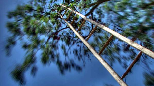 tratament impotriva ametelilor