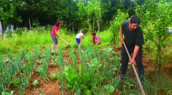 drama fara raspunsuri a opt orfani de mama