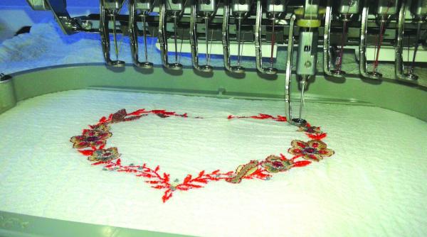 ia romaneasca pe bani europeni nu are poze