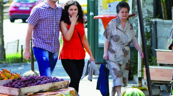 otrava din pepeni producatorii isi protejeaza culturile cu pesticide expirate sau interzise