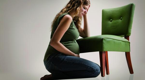 profit din fertilitate nasc un copil pentru o locuinta