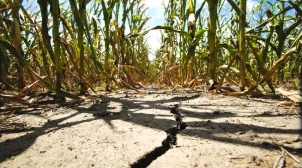 seceta se combate cu reduceri de taxe