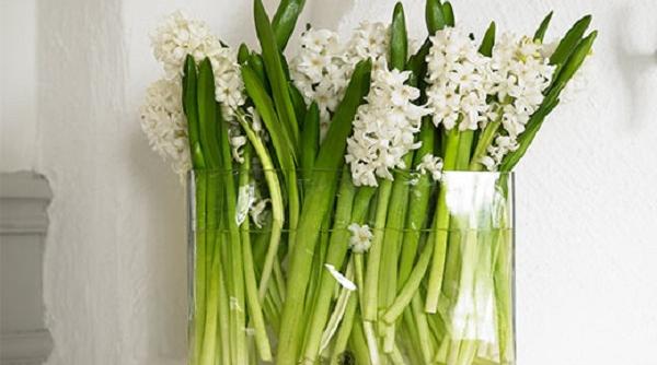 9 trucuri ca sa mentii prospetimea florilor in vaza