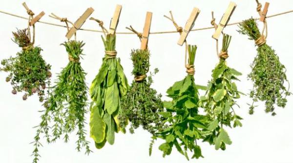 incredibil acest condiment este mai puternic decat cafeaua afla ce alte motive ai sa l consumi in fecare zi