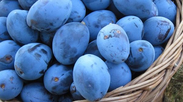 cel mai sanatos dintre fructele toamnei 9 motive ca sa il incluzi in dieta