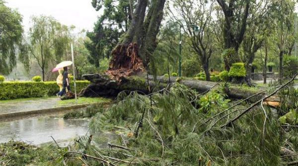 taifunul goni a lovit statul filipine rafalele de vant au ajuns la 195 km h