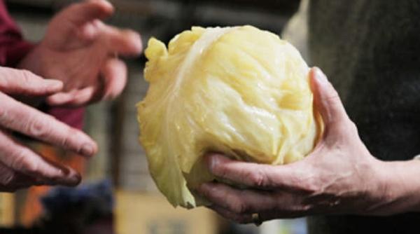 varza murata leacul miraculos din butoi