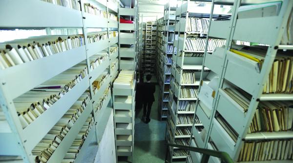 3 054 firme straine in 2015