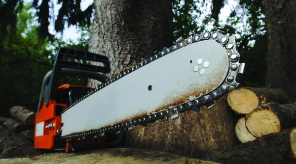 padurea la vanzare electronica