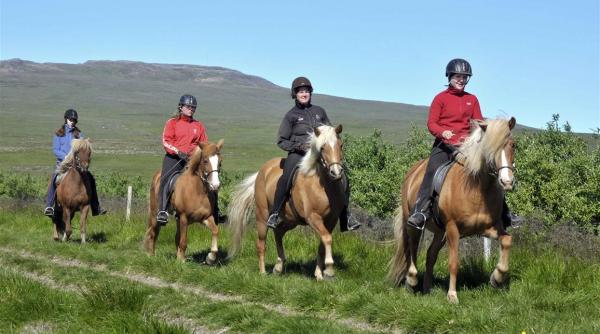 traditii reinviate echitatia si plimbarile cu caii