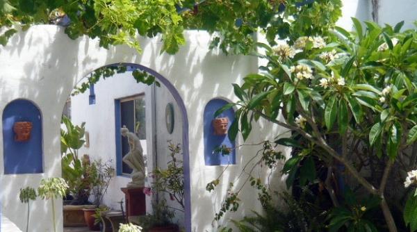 15 motive ca sa consumi patru lingurite de aur lichid pe zi