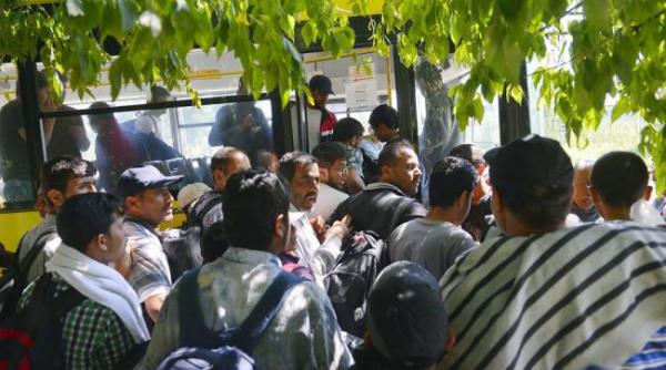 romania are specialisti in migratie