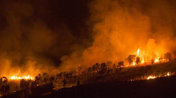 un incendiu a distrus 2 000 de hectare de padure in spania