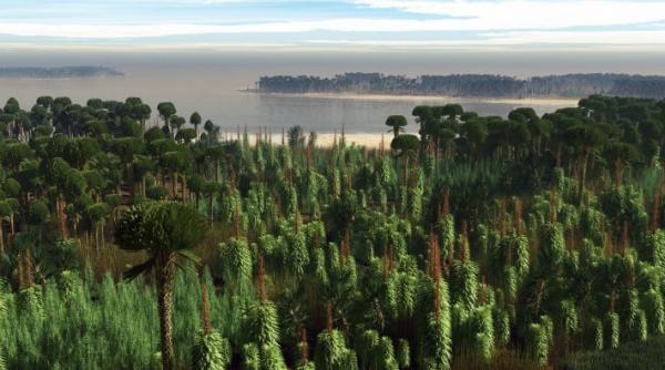 cele mai vechi fosile de copaci pot fi vazute intr un muzeu din germania