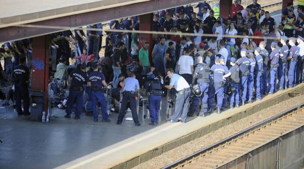 peste 11 000 de familii din islanda ofera gazduire refugiatilor sirieni