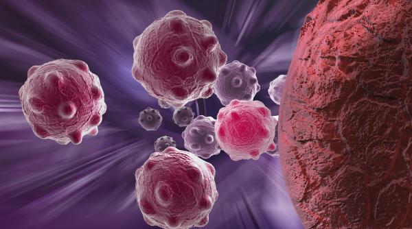 medicamentele beta blocante pot imbunatati rata de supravietuire a femeilor bolnave de cancer ovarian