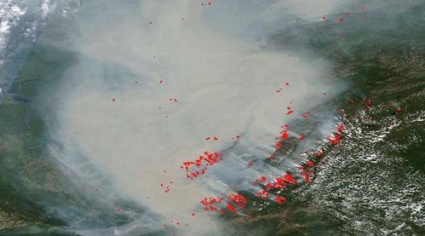 taigaua siberiana este distrusa de un incendiu devastator