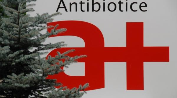 accident de munca fatal la antibiotice sa