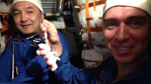 primul astronaut danez a ajusn cu bine pe iss cosmonautul a dus cu el mai multe piese lego