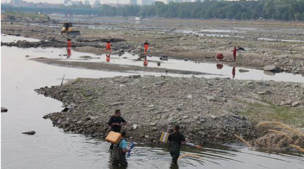 vistula aproape a secat arheologii au facut descoperiri istorice in albia fluviului