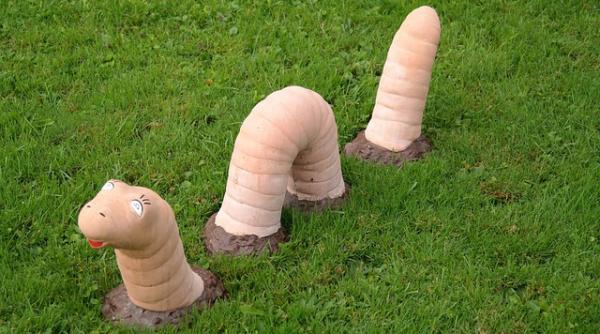 biscuiti din faina de rame cine mananca astfel de delicatese