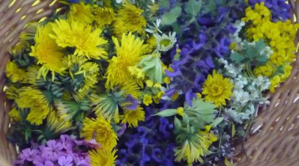 ne parfumeaza viata si vindeca 100 de boli afla despre ce floare miraculoasa este vorba